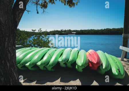 Kajaks auf dem Wasser im John Pennekamp State Park in Key Largo, Florida Keys Stockfoto