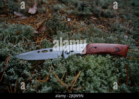 Ein Klappmesser liegt auf dem Moos im Wald Stockfoto