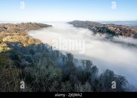 Der Fluss Wye, der aufgrund einer Temperaturinversion vom Standpunkt des Symonds Yat Rock, Herefordshire, England, vollständig vom Nebel verdeckt wurde Stockfoto