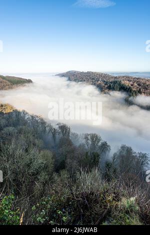 Der Fluss Wye, der aufgrund einer Temperaturinversion vom Standpunkt des Symonds Yat Rock, Herefordshire, England, vollständig vom Nebel verdeckt wurde Stockfoto