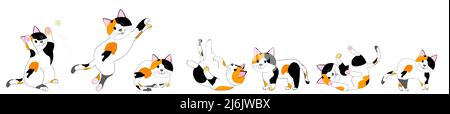 Eine Kollektion von Calico-Katzen in verschiedenen Positionen mit weißem Hintergrund Stockfoto