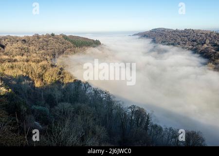 Der Fluss Wye, der aufgrund einer Temperaturinversion vom Standpunkt des Symonds Yat Rock, Herefordshire, England, vollständig vom Nebel verdeckt wurde Stockfoto