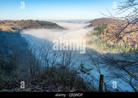 Der Fluss Wye, der durch eine Temperaturinversion völlig vom Nebel verdeckt wurde, aus der Nähe des Aussichtspunkts von Symonds Yat Rock, Herefordshire, England, Großbritannien Stockfoto