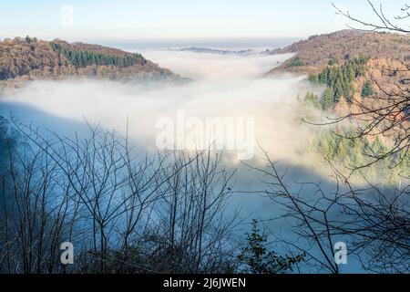 Der Fluss Wye, der durch eine Temperaturinversion völlig vom Nebel verdeckt wurde, aus der Nähe des Aussichtspunkts von Symonds Yat Rock, Herefordshire, England, Großbritannien Stockfoto