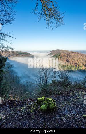 Der Fluss Wye, der durch eine Temperaturinversion völlig vom Nebel verdeckt wurde, aus der Nähe des Aussichtspunkts von Symonds Yat Rock, Herefordshire, England, Großbritannien Stockfoto