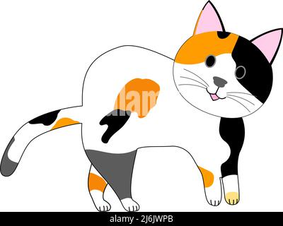 calico Katze mit weißem Hintergrund Stockfoto