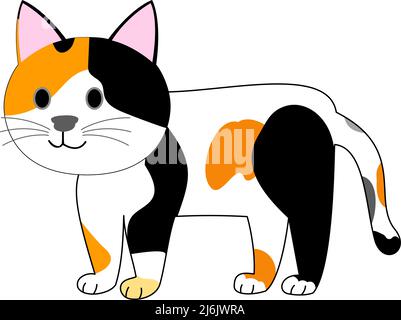 Eine stehende Kalikatze mit weißem Hintergrund Stockfoto