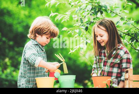 Kinder Pflanzen Blumen in Topf. Zwei glückliche Kinder Bauern, die mit Spud auf dem Frühlingsfeld arbeiten. Stockfoto