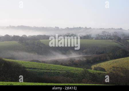 In den Tälern zwischen Feldern und bewaldeten Hecken in der kornischen Landschaft hängt am frühen Morgen Nebel. Stockfoto