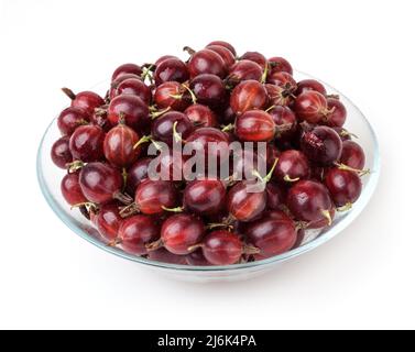 Rote Stachelbeere in Glasschale isoliert auf weißem Hintergrund Stockfoto