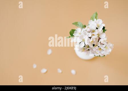 Ein Bouquet aus schönen Blumen eines Apfelbaums und heruntergefallenen Blütenblättern, die nicht im Fokus auf einem beigen Tisch stehen, Draufsicht. Für Text platzieren Stockfoto