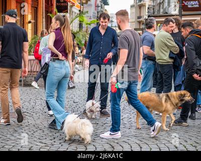 Bukarest, Rumänien - 04.08.2022: Geschäftiges Wochenende mit vielen Menschen auf den Straßen der Altstadt von Bukarest. Menschen gehen ihre Hunde Haustiere. Stockfoto