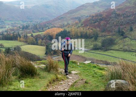 Weibliche Bergwandererin hoch über Grisedale auf dem Weg nach Helvellyn im englischen Lake District im Herbst, Cumbria, England, Großbritannien Stockfoto