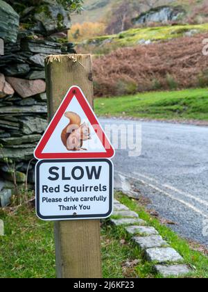 Slow Down - Red Squirrel Warnschild für Autofahrer auf der Straßenseite in English Lake District Stockfoto
