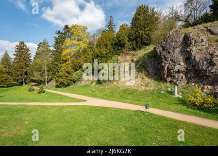 Schlosspark in der tschechischen Stadt Klasterec nad Ohri mit exotischen Bäumen und dem Wanderweg im Frühling Stockfoto