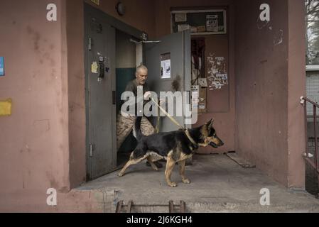 Charkiw, Ukraine. 02.. Mai 2022. Sasha Zolotov, 55, früher im Militär, nimmt seinen deutschen Schäferhund „Krokodilhund“ am Montag, den 2. Mai 2022, zu einem Spaziergang von seinem Wohnhaus in der Nähe der russischen Grenze in Charkow, Ukraine, mit. Zolotows Wohnung wurde zweimal getroffen, nur wenige Wochen auseinander. Die Wohnung brannte ab und alles, was er übrig hatte, waren die Kleidung, die er trug, und sein Reisepass. Zolotov lebt jetzt im Keller gedreht Bombenschutz. Foto von Ken Cedeno/UPI Credit: UPI/Alamy Live News Stockfoto