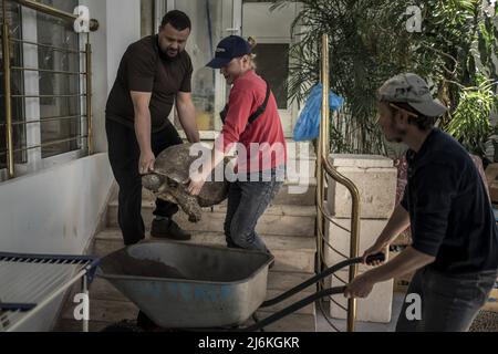 Region Poltava, Ukraine. 2.. Mai 2022. Mitarbeiter des Feldman-Eco Parks arbeiten daran, gerettete Schildkröten am Montag, den 2. Mai 2022, in einen temporären Eco-Park in der Region Poltava zu bringen, zwei Stunden westlich von Charkiw in der Ukraine. Führende israelische Beamte verurteilten am Montag Äußerungen des russischen Chefdiplomaten, die behaupteten, dass der Nazi-Führer Adolf Hitler jüdisch sei und implizierten, dass jüdische Gefangene während des Zweiten Weltkriegs für ihren eigenen Tod im Holocaust verantwortlich seien. Foto von Ken Cedeno/UPI Credit: UPI/Alamy Live News Stockfoto