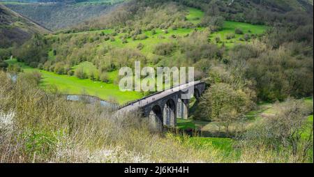 Die viktorianischen Midland Grabstein Eisenbahnviadukt, heute Teil von der Monsal Trail-Radweg in Monsal Dale im englischen Peak District National Park. Stockfoto