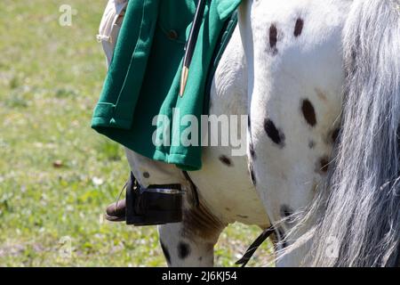 Ein Reiter auf einem weißen Pferd mit schwarzen Flecken Stockfoto