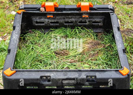 Frisch geschnittenes Unkraut in einem Plastikkomposter Stockfoto