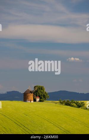 Windmühle in Chvalkovice, Südmähren, Tschechische Republik Stockfoto