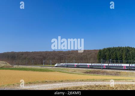 Schnellster TGV-Zug in Nordfrankreich Stockfoto