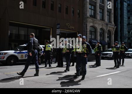 Ottawa, Ontario, Kanada - 30. April 2022: Mehrere Polizeibeamte des Ottawa Police Service (OPS) sind nach einer Verhaftung versammelt. Stockfoto