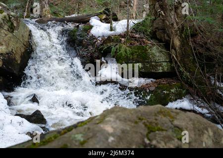 Während des Frühlings-Tauens stürzt Wasser über Felsen an einem kleinen Wasserfall in einem Bach. Das Wildwasser stürzt neben übrig gebliebene Schnee und moosige Felsen. Stockfoto