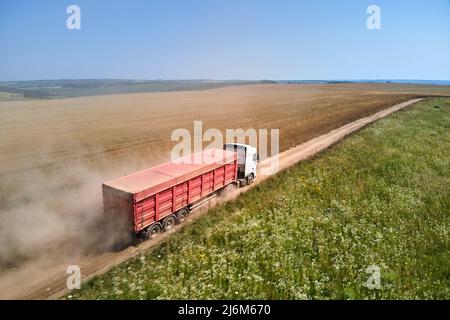 Luftaufnahme eines LKW-Lastwagens auf unbefestigten Straßen zwischen landwirtschaftlichen Weizenfeldern. Transport des Getreides nach der Ernte durch den Mähdrescher Stockfoto