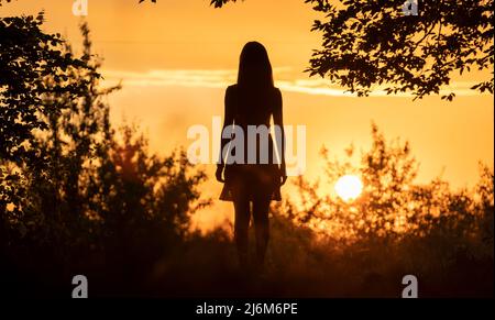 Dunkle Silhouette einer jungen Frau, die am Sommerabend allein durch den dunklen Wald geht. Genießen Sie die Natur und Outdoor-Aktivitäten Konzept