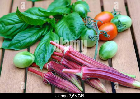 Frisch geerntetes Basilikum, Okra und Tomaten auf einem Holztisch im Freien, gesundes Leben mit Bio-Gemüse und Kräutern. Stockfoto