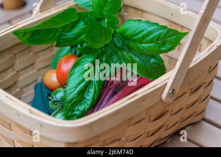 Bio-Gemüse und Kräuter, Tomaten aus Erbstück, Solanum lycopersicum, jing orange okra, Abelmoschus esculentus und Basilikum, Ocimum basilicum. Stockfoto