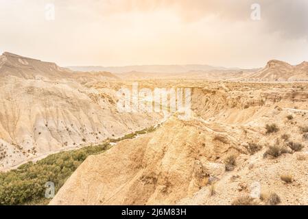 Sandige Formationen mit grünen Pflanzen im Sonnenlicht Stockfoto