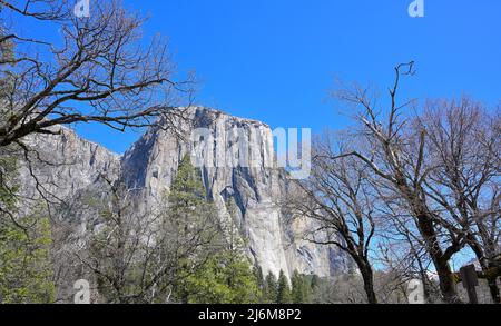 Das berühmte El Capitan liegt vor dem berühmten Yosemite Valley (US-Nationalpark), Mariposa CA Stockfoto