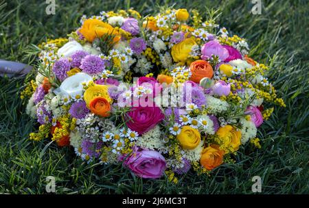 Blumenkranz auf grünem Gras. Frische Wildblumen und Kräuter auf der Gartenrasen, Nahaufnahme. Frühlingstag. Frauen oder Mütter Tag Feier Stockfoto