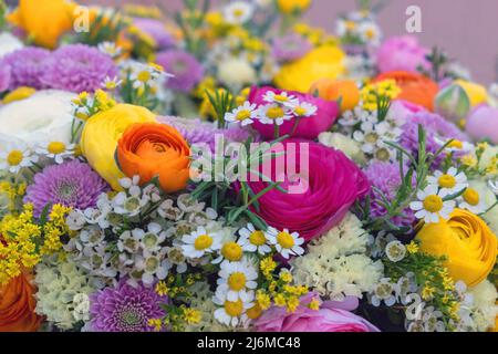 Frische bunte wilde Blumen und Kräuter Hintergrund, Nahaufnahme. Garten Natur blüht, Frühling. Blumenstrauß für Frauen oder Mütter Stockfoto