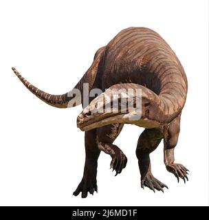 Plateosaurus engelhardti, ein Dinosaurier aus der späten Trias, isoliert auf weißem Hintergrund Stockfoto