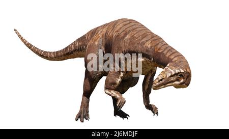 Plateosaurus, Dinosaurier vor 214 bis 204 Millionen Jahren, isoliert auf weißem Hintergrund Stockfoto
