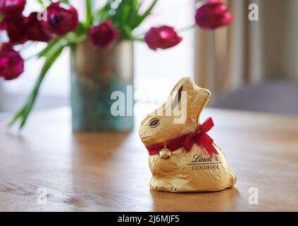 PRODUKTION - 01. April 2022, Berlin: ILLUSTRATION - Ein sogenannter 'Goldhase' der Firma Lindt steht auf einem Wohnzimmertisch. Foto: Annette Riedl/dpa Stockfoto