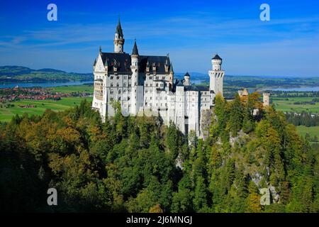 Berühmtes Märchen Schloss Neuschwanstein in Bayern, Deutschland, Nachmittag mit blauem Himmel Stockfoto