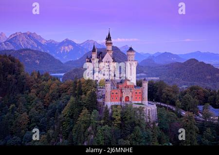 Berühmtes Märchen Schloss Neuschwanstein in Bayern, Deutschland, vor Sonnenaufgang Stockfoto