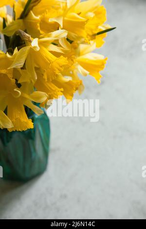 Erstaunlicher Hintergrund mit gelben Strauß Narzissen in einer Vase auf einem grauen Betongrund. Schöne Grußkarte zum Muttertag, Ostern, Frauen Stockfoto