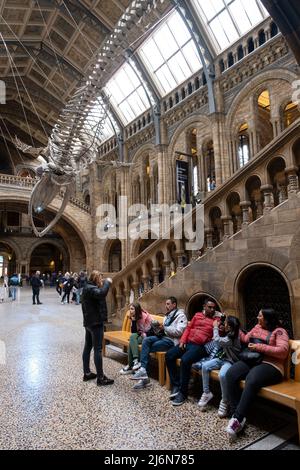Besucher unter dem hängenden Skelett eines Blauwals in der Hintze Hall, dem Haupteingang im Atrium des Natural History Museum am 27.. April 2022 in London, Großbritannien. Das Museum zeigt eine große Auswahl an Exemplaren aus verschiedenen Teilen der Naturgeschichte. Das Museum beherbergt Lebens- und erdwissenschaftliche Exemplare mit rund 80 Millionen Objekten aus fünf Hauptsammlungen: botanik, Entomologie, Mineralogie, Paläontologie und Zoologie. Das Museum ist ein Forschungszentrum, das sich auf Taxonomie, Identifikation und Konservierung spezialisiert hat. Stockfoto