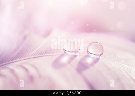 Transparente Wassertropfen auf rosa Feder auf türkisfarbenem Hintergrund, verträumt elegantes Bild von Fragilität und Schönheit der Natur. Heller, luftiger, natürlicher Schreibtisch Stockfoto