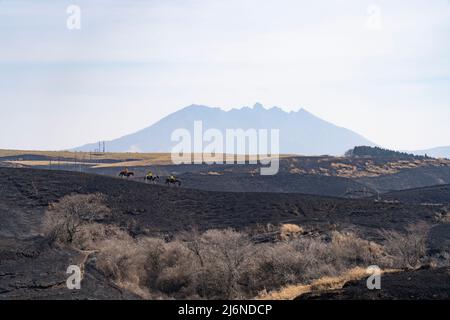 El Patio Ranch, Frontier Horses, Aso, Kumamoto Kyushu, Japan Stockfoto