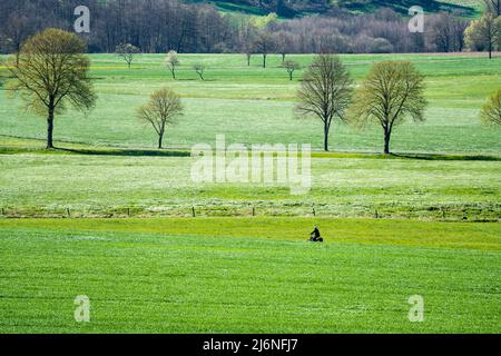 Radweg R1, bei Gewissenruh, Wesertal, Weserbergland, Hessen, Deutschland Stockfoto