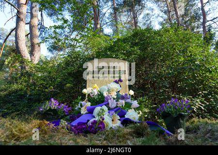 02. Mai 2022, Brandenburg, Stahnsdorf: Blumen stehen vor dem Denkmal für den Musikwissenschaftler Max Friedlaender im Südwestkirchhof vor einem Stein mit der Aufschrift „Professor Dr. Max Friedlaender“. Foto: Soeren Sache/dpa Stockfoto