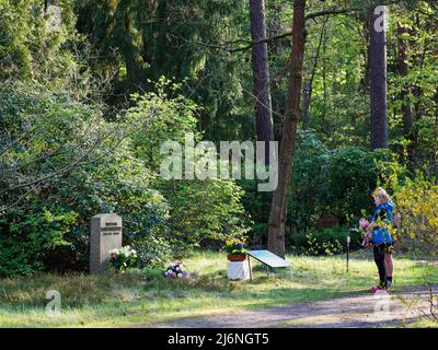 02. Mai 2022, Brandenburg, Stahnsdorf: Blumen stehen vor dem Denkmal für den Musikwissenschaftler Max Friedlaender im südwestlichen Kirchhof vor einem Stein, der hinter einer erklärenden Gedenktafel mit der Aufschrift „Professor Dr. Max Friedlaender“ beschriftet ist. Foto: Soeren Sache/dpa Stockfoto