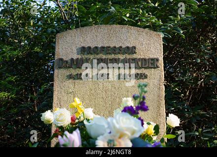 02. Mai 2022, Brandenburg, Stahnsdorf: Blumen stehen vor dem Denkmal für den Musikwissenschaftler Max Friedlaender im Südwestkirchhof vor einem Stein mit der Aufschrift „Professor Dr. Max Friedlaender“. Foto: Soeren Sache/dpa Stockfoto