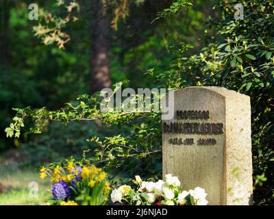 02. Mai 2022, Brandenburg, Stahnsdorf: Blumen stehen vor dem Denkmal für den Musikwissenschaftler Max Friedlaender im Südwestkirchhof vor einem Stein mit der Aufschrift „Professor Dr. Max Friedlaender“. Foto: Soeren Sache/dpa Stockfoto